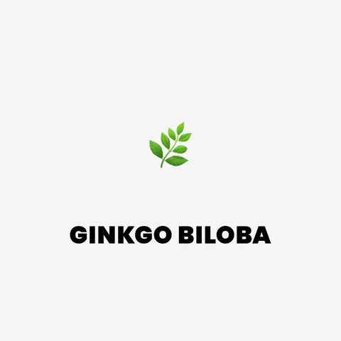 Ginkgo biloba, adaptogen, který podpoří nejen tvůj mozek.