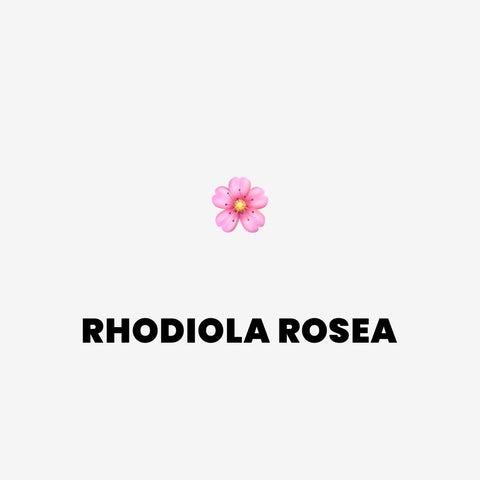 Rhodiola Rosea: Adaptogen, který ti pomůže prosperovat